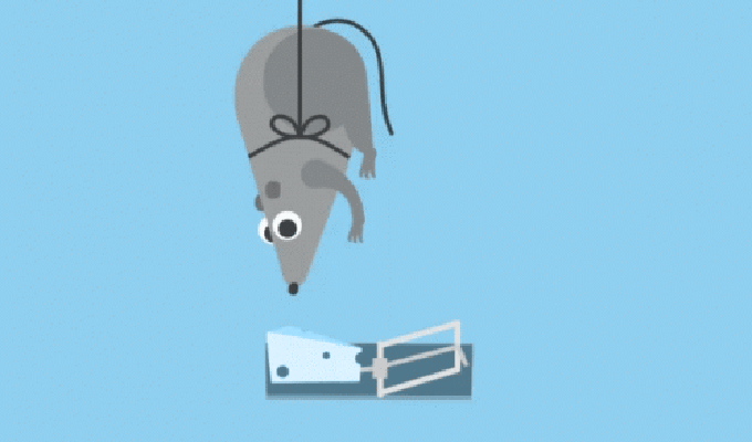 단폴더 혜택만 쏙쏙 빼먹는 생쥐